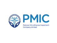 pmic